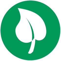 brea-sostanze-naturali